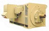 Medium & High Voltage Induction Motors